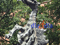 Escultura del dragón, personaje mítico de la ciudad polaca